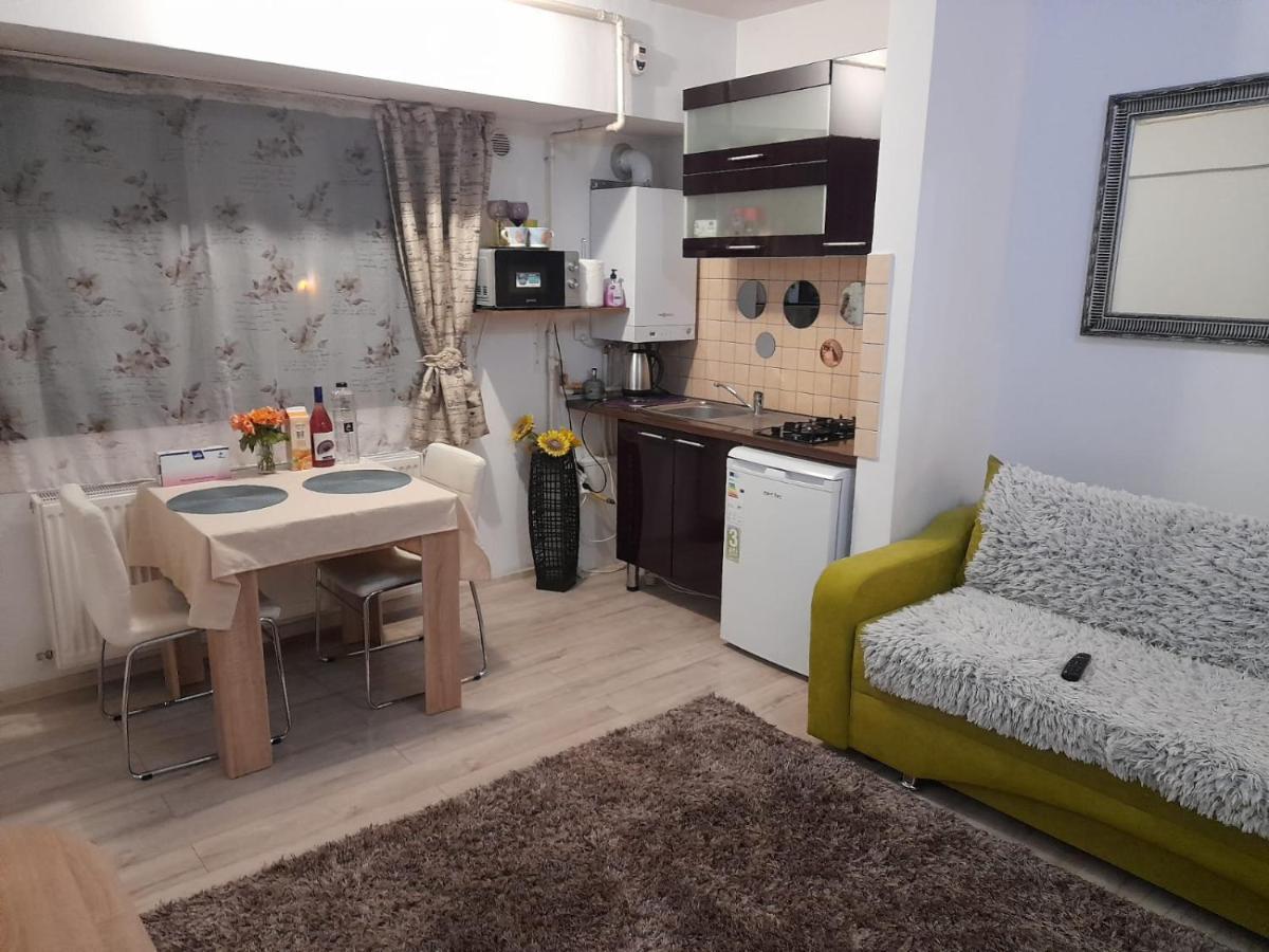 Apartment River Bacău Екстериор снимка