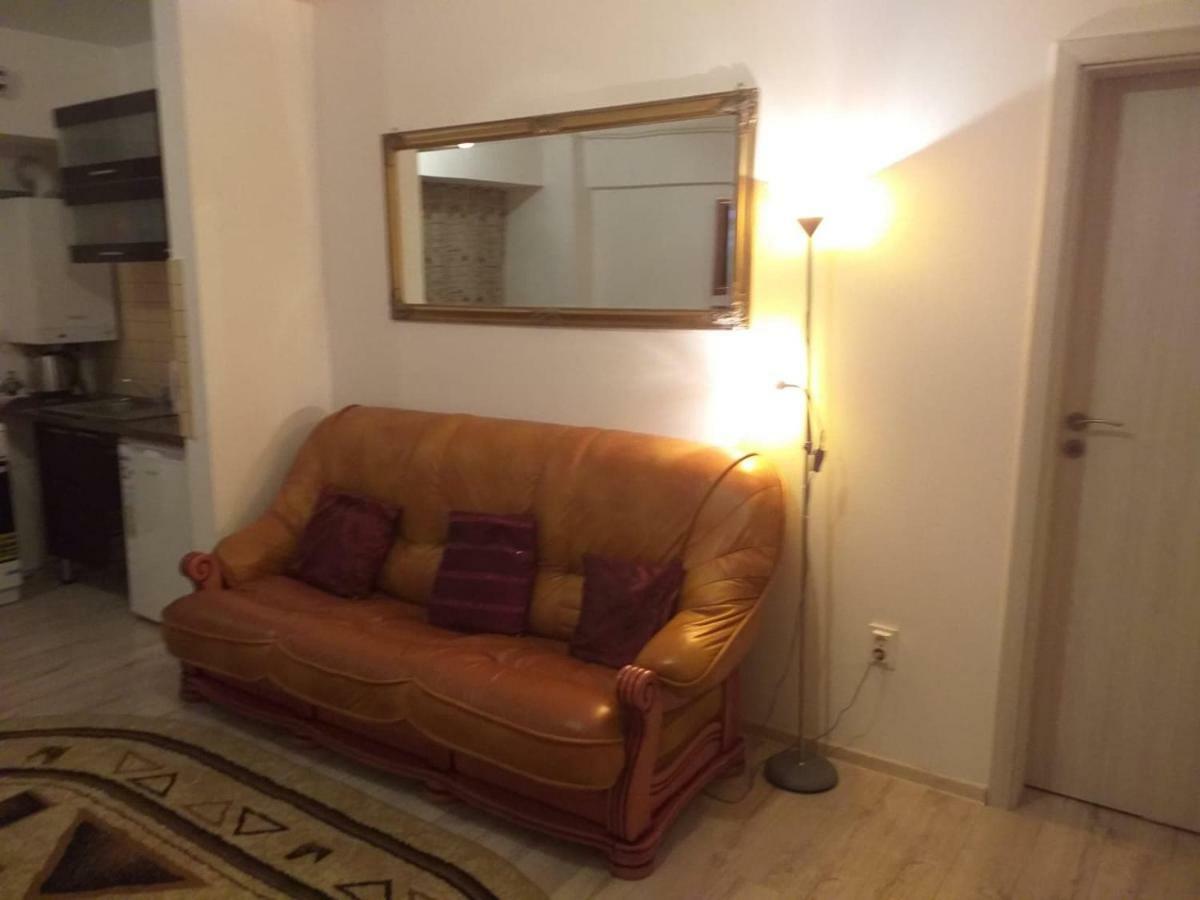 Apartment River Bacău Екстериор снимка